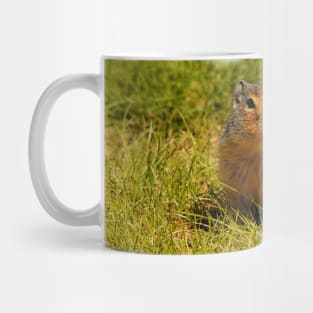 A Hopeful Columbian Ground Squirrel Mug